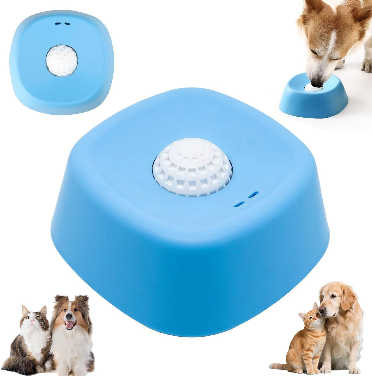 Cuenco lamedor para mascotas