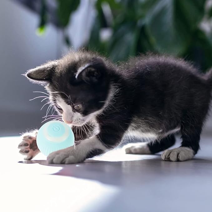 Bola de juguete interactivo para gatos azul