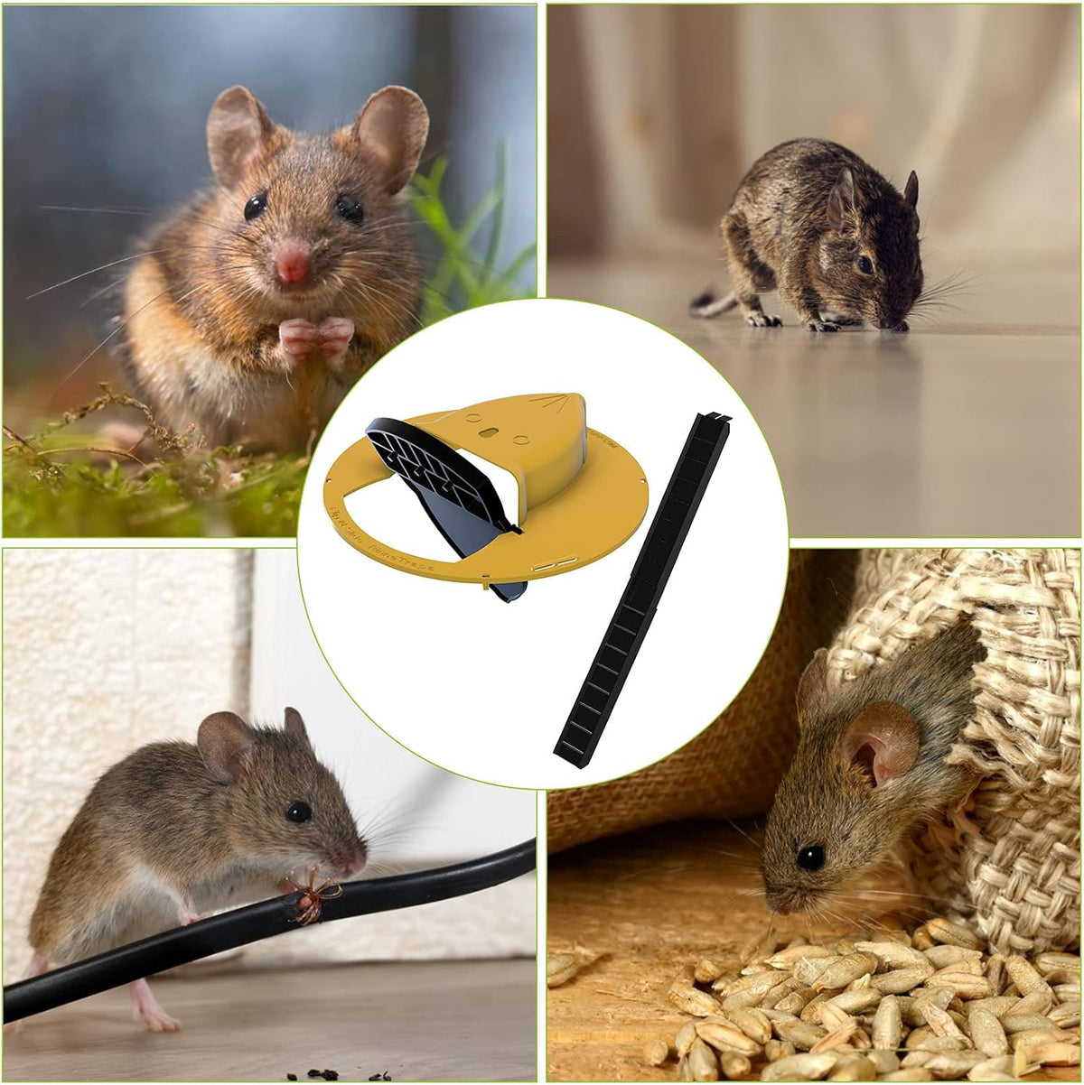 Trampas para Ratones