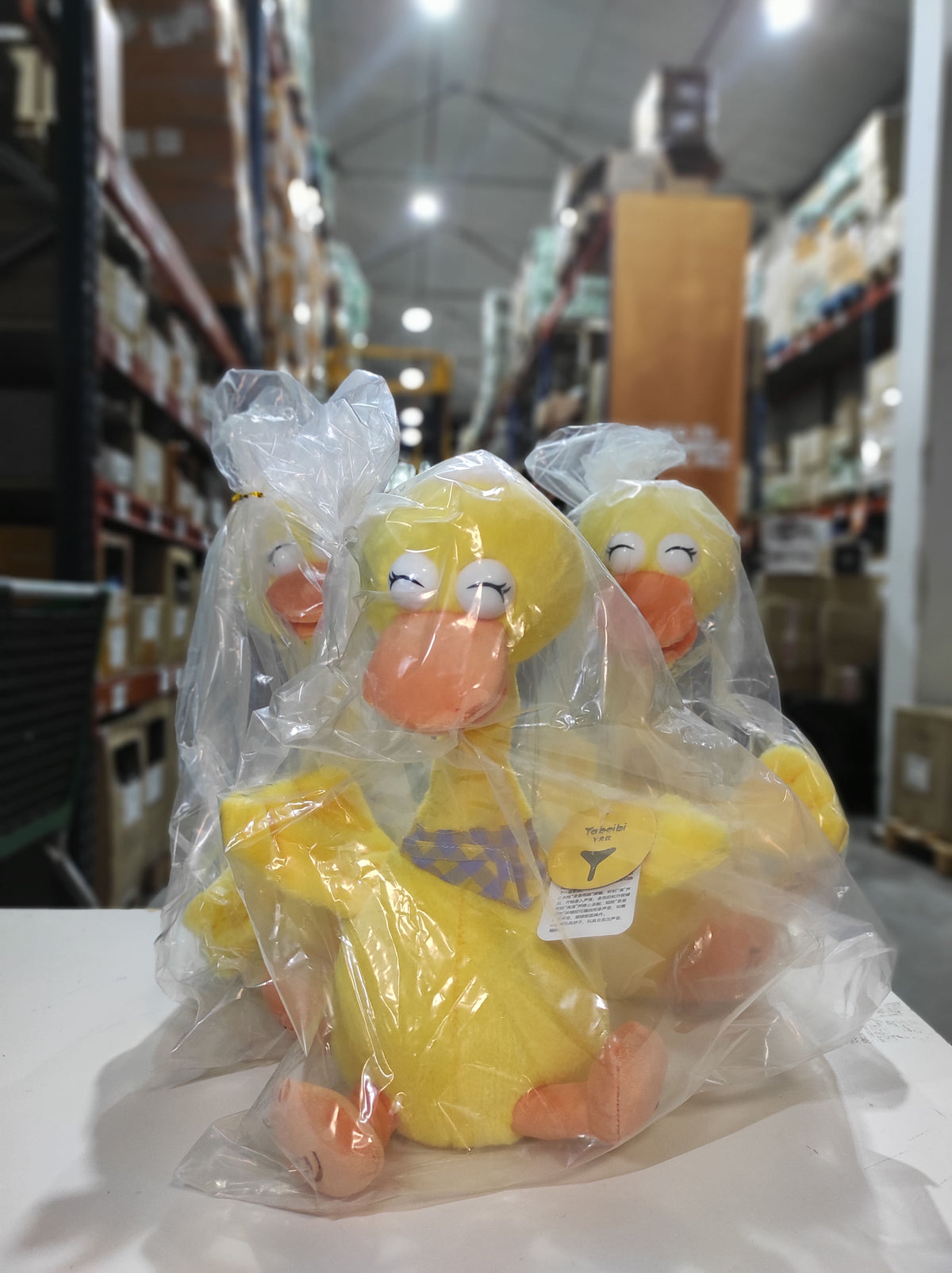 Pato bailarín hablador
