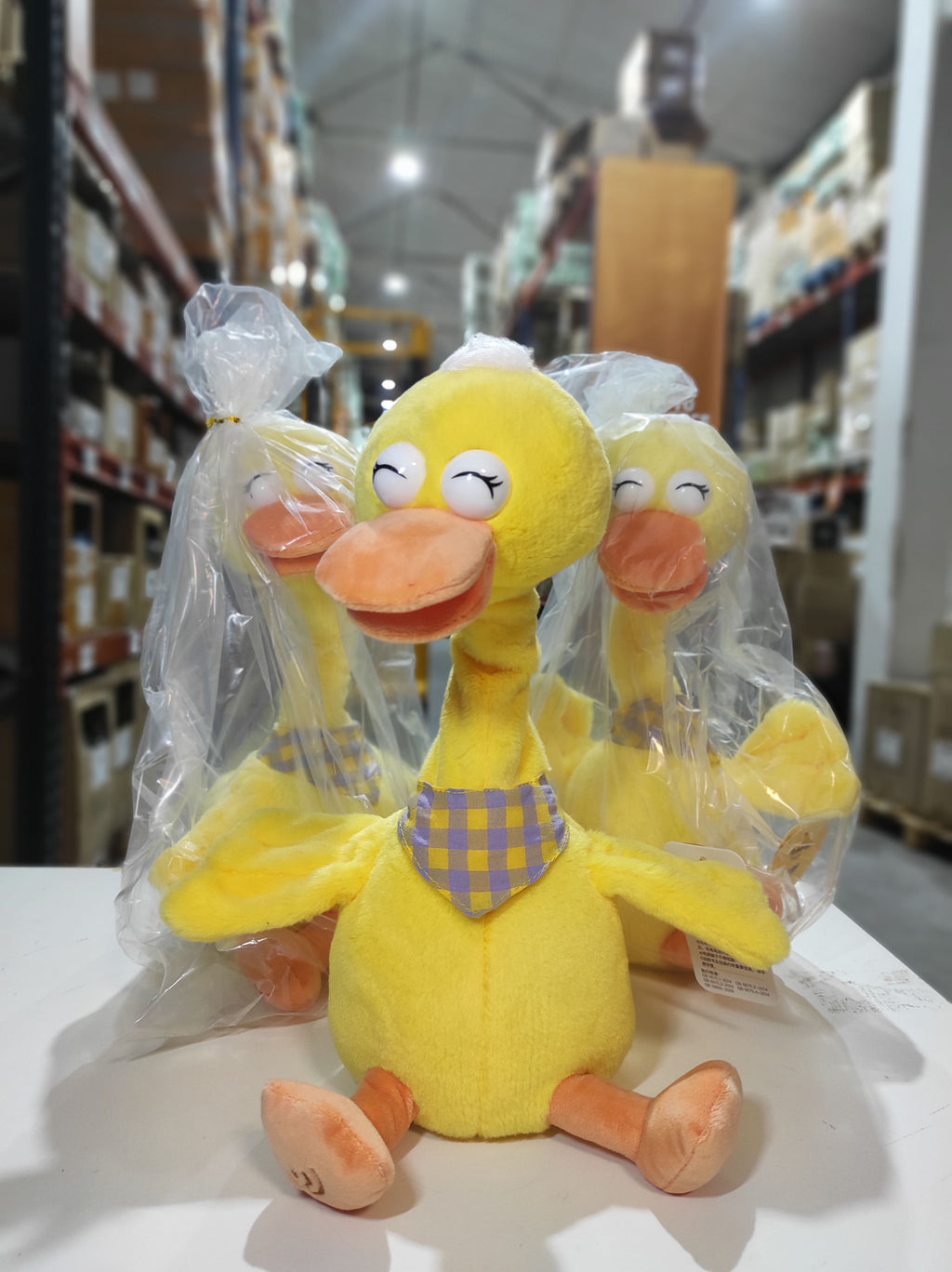Pato bailarín hablador