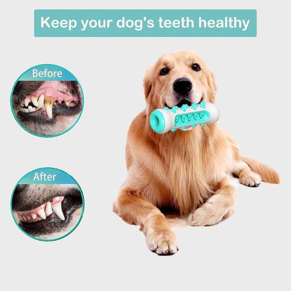 Juguete Limpiadientes para Perro